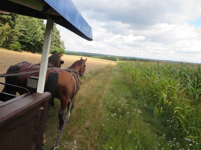 W_Galerie_7_Feld